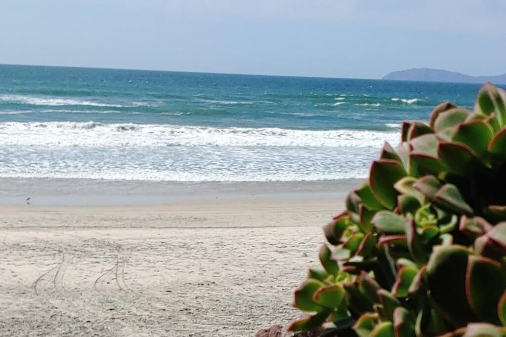 Las Olas Sunset And Oceanfront Paradise Rosarito Extérieur photo